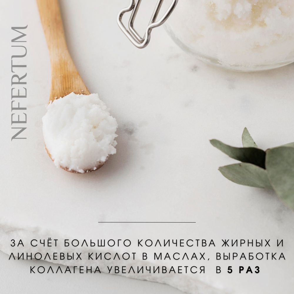 Ozon Nefertum / M444 V6 photo 6