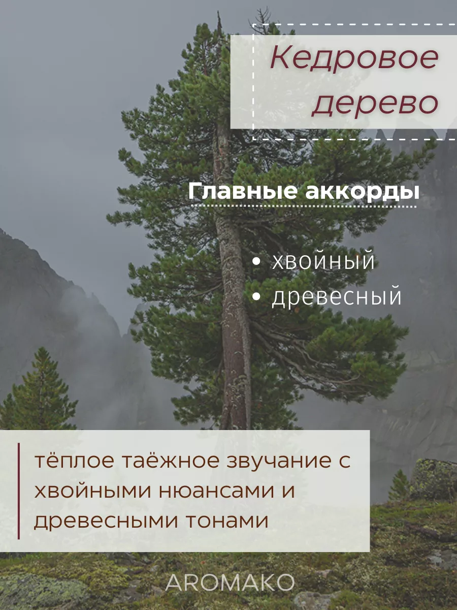 Масляные духи — Кедровое дерево, 3 мл